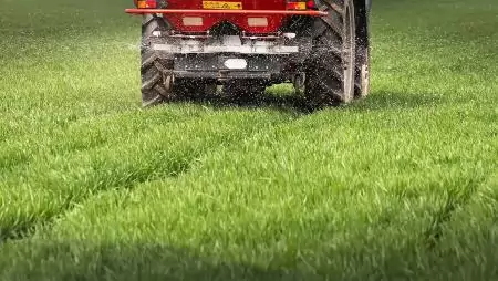 Miért kell meszezni? 