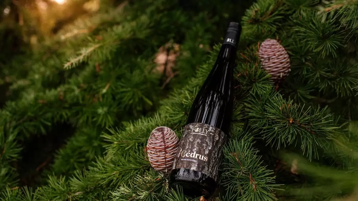 Európa legnagyobb borászati versenyén nyertek aranyérmet a Folly Arborétum borai