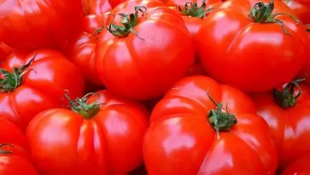 A külpiacokra is jut – a hazai fogyasztók ellátása mellett – a friss magyar paradicsomból