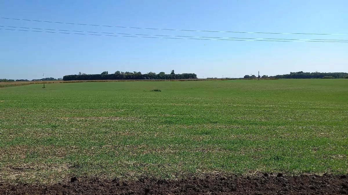 Mikrobiológiai készítmények alkalmazása az AÖP-ben