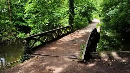 Több fát a nagyvárosokba! A városi parkok javítják a levegő minőségét és élhetőbbé teszik a környezetet