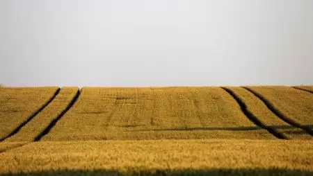 7,4 milliárd forint visszatérítés érkezik a termelőkhöz