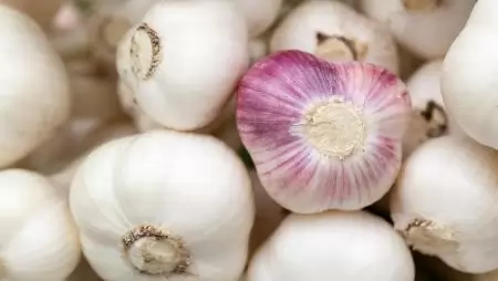 A fokhagyma piaca – kevesebbet termeltek idén az EU-ban