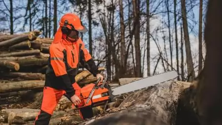 Kiknek jó választás a fakitermelő képzés?