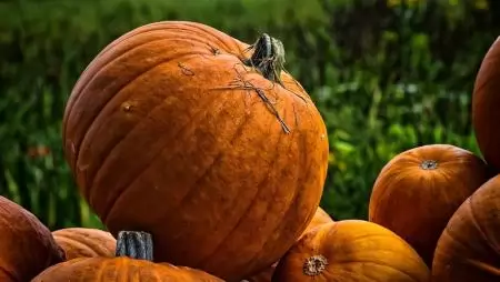 Itt a sütőtökszezon – hasznunkra szolgál kívül-belül