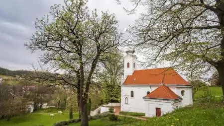 2023 Év Fája a szekszárdi remete berkenye