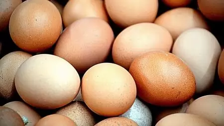 A tojástermelők védelme érdekében fel kell lépni a hibás uniós döntések ellen 