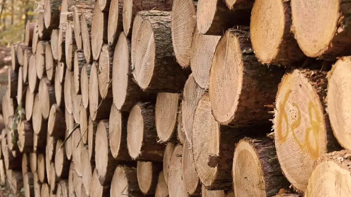 Megfelelő mennyiségben és minőségben is rendelkezésre áll a tűzifa