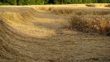 November végéig lehet benyújtani a kárenyhítési kérelmeket