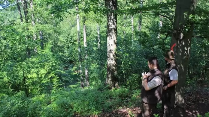 Örökerdők – Visegrádi Erdészet, Erdőanyai-völgy