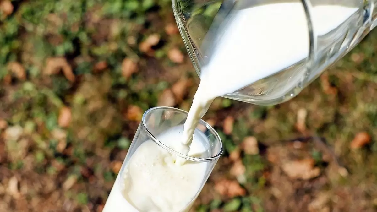 Már napi egy pohár tej elfogyasztásával is sokat tehetünk az egészségünkért