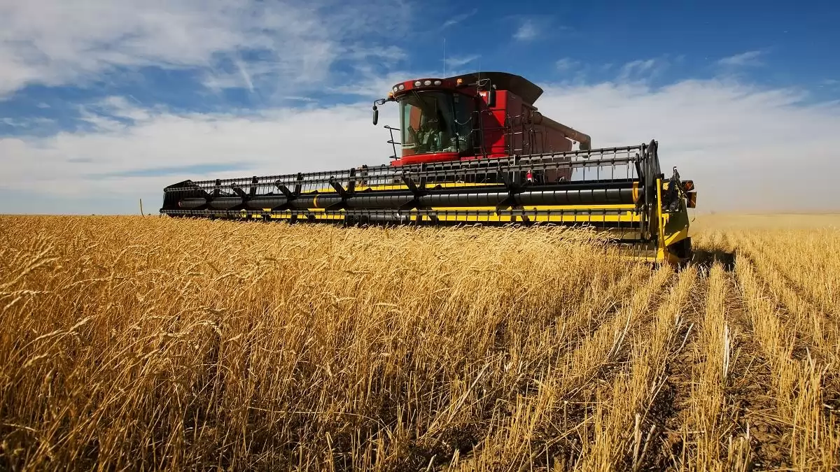 A Corteva innovációi támogatják a terméshozam növekedését és a termésbiztonságot