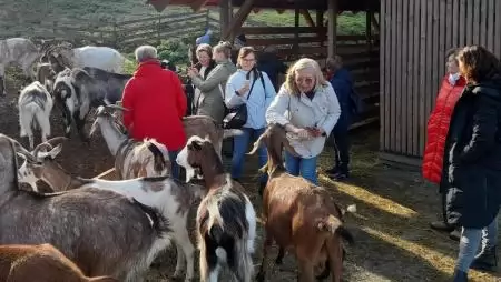 FARMWELL projekt – gazdalátogatások Ausztriában