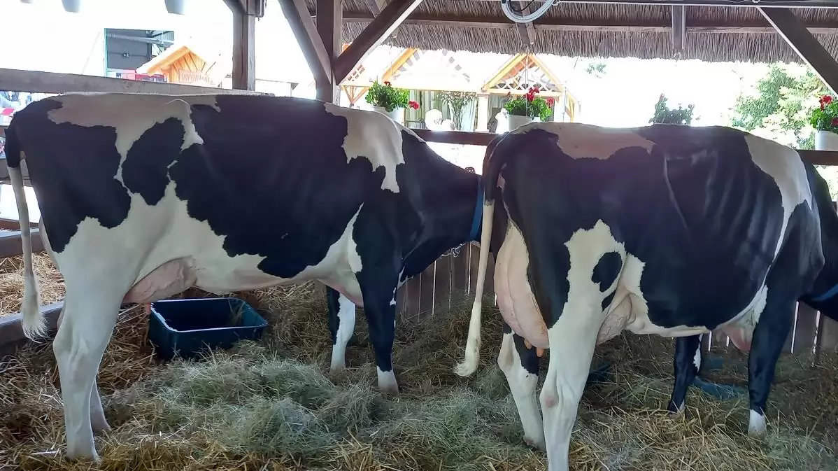 Decemberben további jelentős összegek segítik a tejágazatot