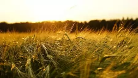 2024-ben még több pénz jut az ökogazdálkodóknak