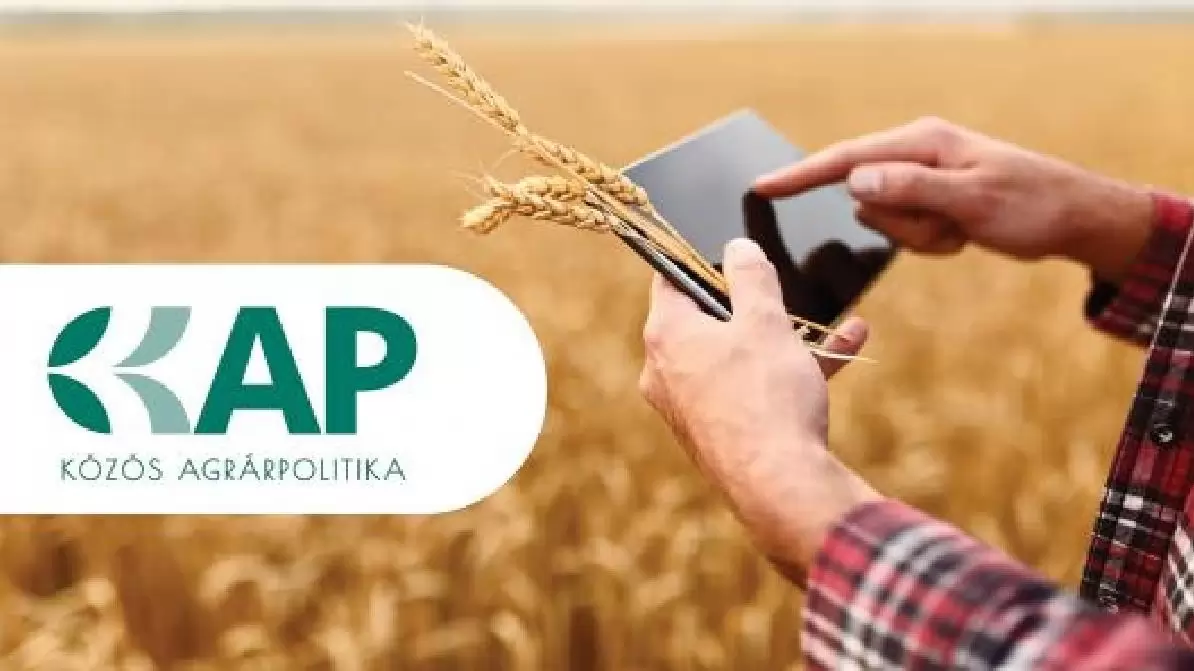 Rendelet a Nemzeti KAP-hálózatról