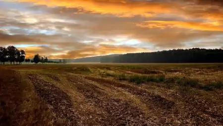 Marginális mezőgazdasági területek – a HUN-REN ATK kutatóinak tanulmánya az Agricultural Systems–ben