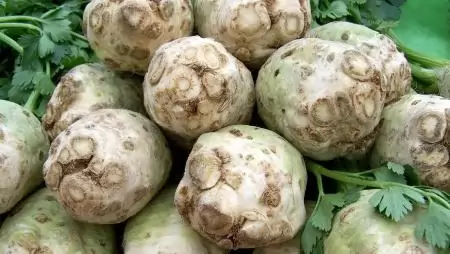 Zeller – a sokoldalú szuperélelmiszer