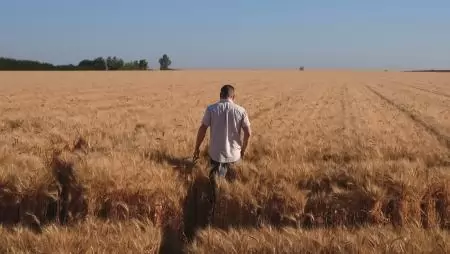 A mentális egészségi állapot komoly hatással lehet a mezőgazdasági termelékenységre