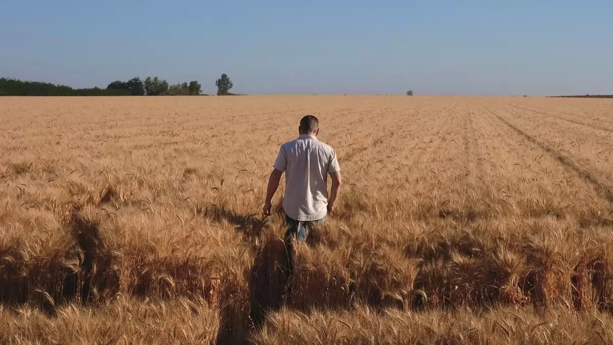 A mentális egészségi állapot komoly hatással lehet a mezőgazdasági termelékenységre