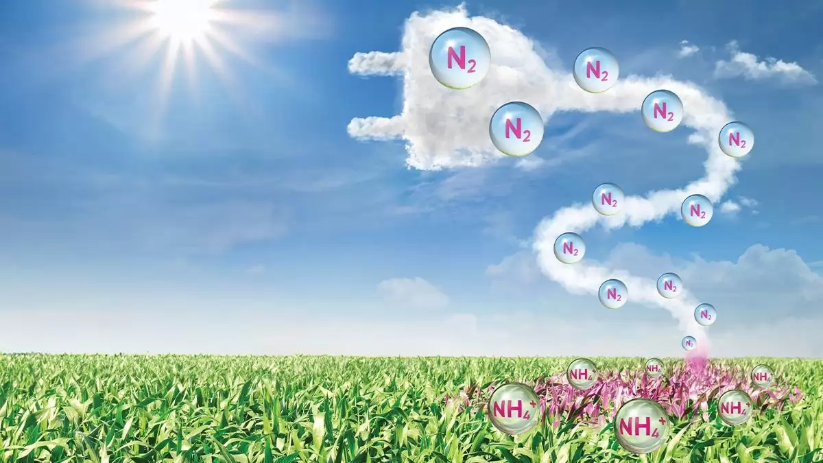 A növényi biostimulátorok használata intenzív növekedést és magasabb terméshozamot eredményezhet a Corteva Agriscience