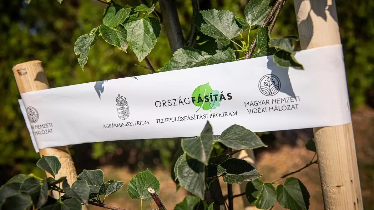 Településfásítási Program - Újabb 543 település lesz zöldebb 