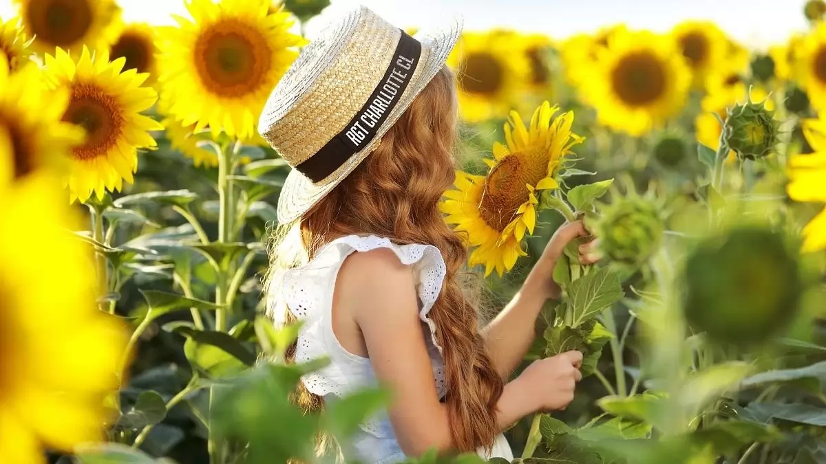 Új szint a teljesítményben!