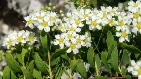 Országosan egyedülálló genomikai eredmény a DE kutatóitól