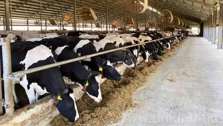 Állategészségügyi kutatások az agrárkaron