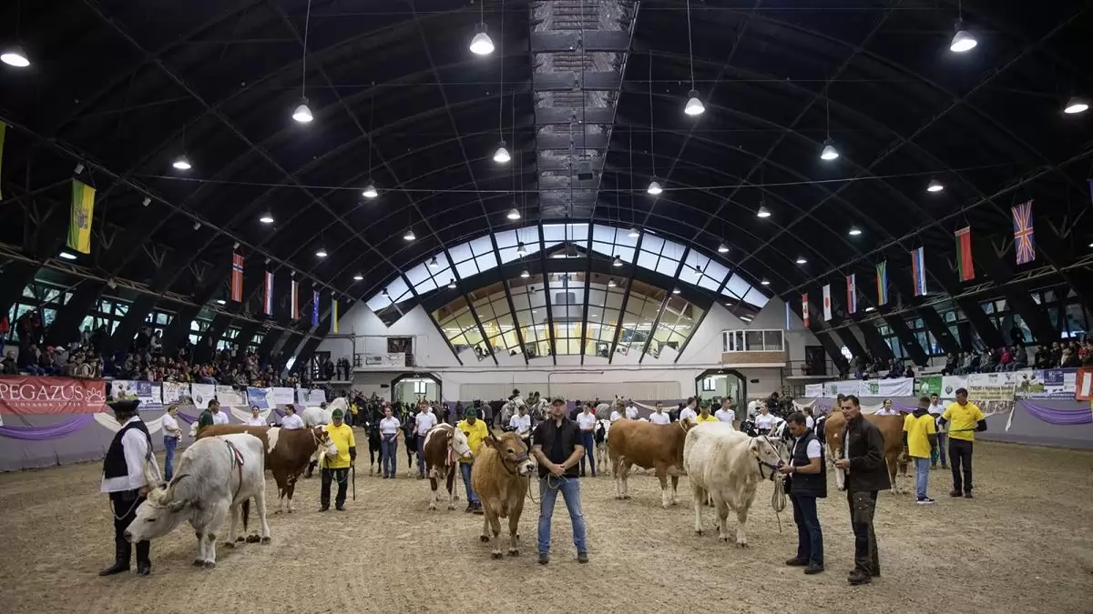 Újabb sikeres évet zárt a KÁN Egyetemi napok rendezvény