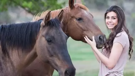 Országos Állategészségügyi Verseny az Állatorvostudományi Egyetemen