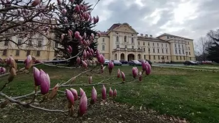 Rekordszámú jelentkezés a MATE gödöllői képzéseire