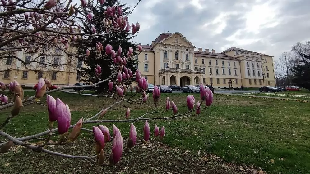 Rekordszámú jelentkezés a MATE gödöllői képzéseire