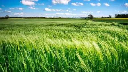 Kevesebb értékesített műtrágya, alacsonyabb árak 2023-ban