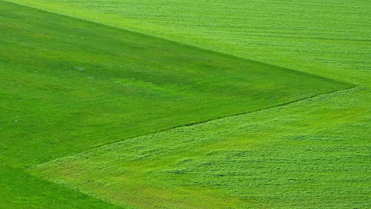Megjelent a Natura 2000 gyepterületek kompenzációs támogatása