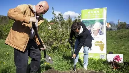 A MATE Budatétényi Rózsakertjében ültették el Jane Goodall békét hozó rózsatöveit