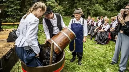 Szüret a Jókai-kertben