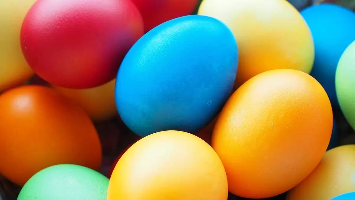 Tojáskínálat – széles választék, sokféle ár