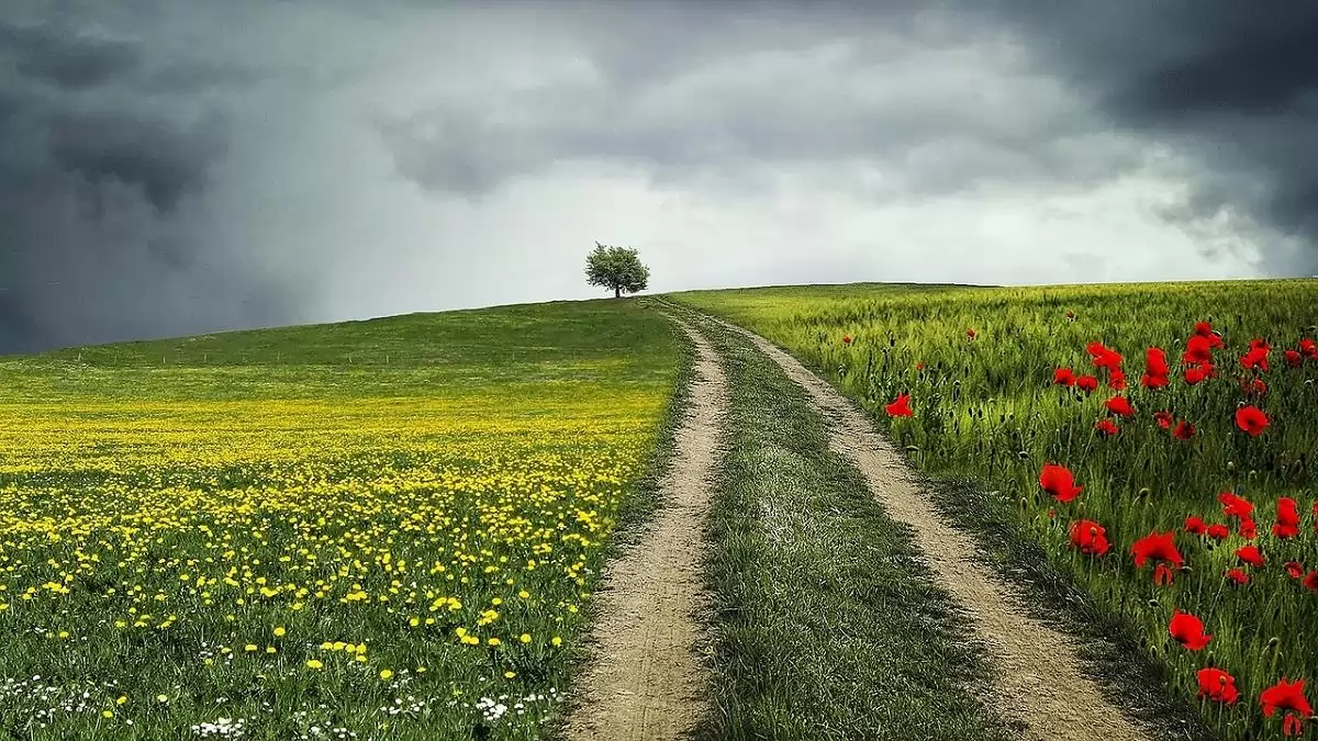 Vitatott feltételesség – Avagy minden, amit az ugaroltatásról tudni érdemes