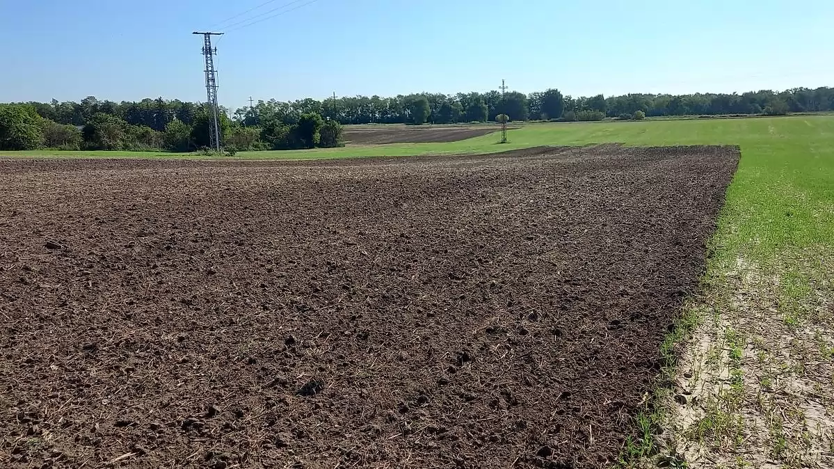 Tartsuk a vizet a tájban! Vízigény-felmérés mély fekvésű területeken