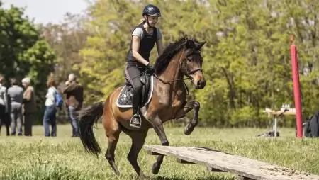Ösvényen a hucul – Avagy egy kiváló fajta lehetőségei a tenyésztésben, pályán és terepen