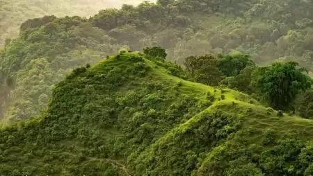 A klímaváltozás és a fajok elterjedési határai eltolódásának követésére dolgoztak ki új módszert magyar kutatók
