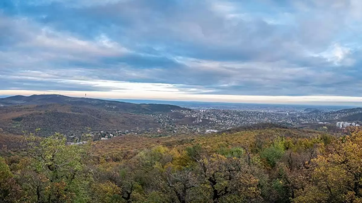 Budapest hat kerületében folytatódik a Városierdő-fejlesztési Program