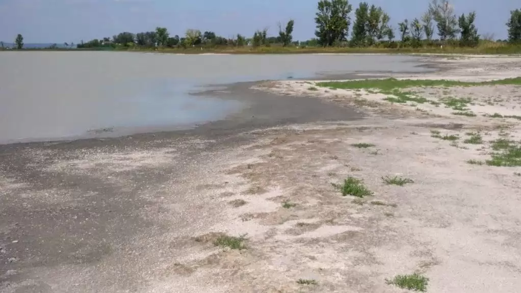 A vizek sótartalmának növekedése evolúciós változásra kényszeríti a planktonikus szervezeteket