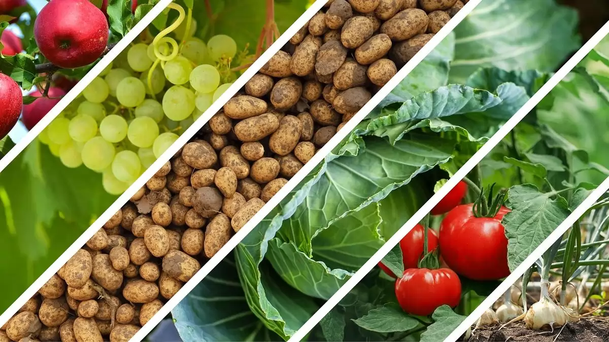 Hogyan segítik a korszerű mezőgazdasági technológiák a biodiverzitás védelmét