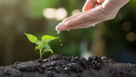Jelentős támogatás ‒ a pénzen kívül