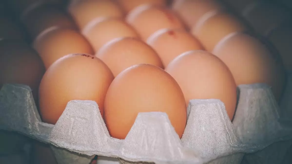 A legolcsóbb élelmiszereket vizsgálták a Nébih szakemberei