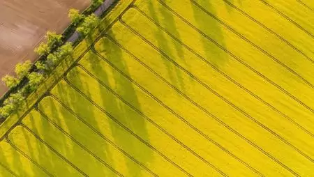 A Corteva innovációi a hatékonyságra és fenntarthatóságra fókuszálnak