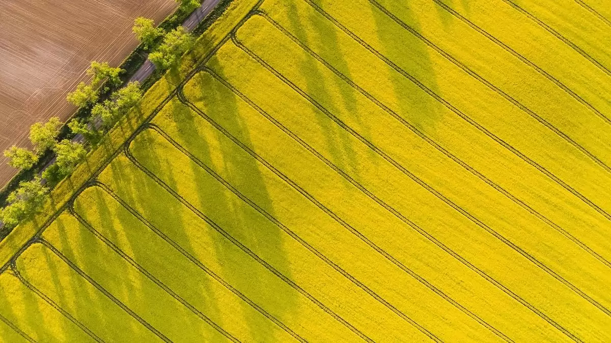 A Corteva innovációi a hatékonyságra és fenntarthatóságra fókuszálnak