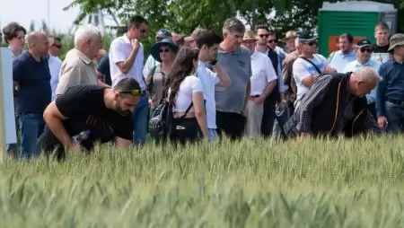 Technológiai megoldások, ökonómiai válaszok az idei szántóföldi bemutatókon